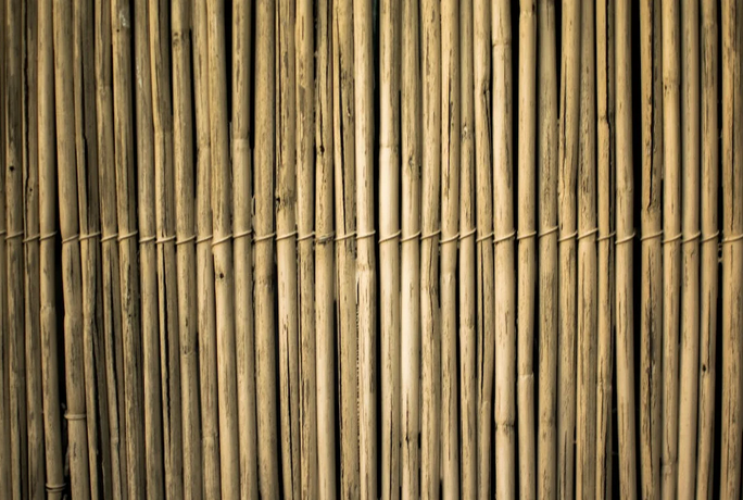 fence